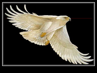 Profissionais vencedores...Enfim, saiam da mesmice;Botam a cara pra bater;Chutam o pau da barraca;Seguram o touro pelos chifres;Matam um leão por dia;Engulam sapos e até jacarés;Riam da própria queda;Sacodem a poeira;E dão a volta por cima. 