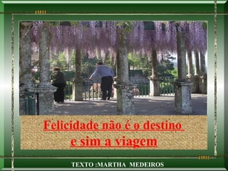 Felicidade não é o destino
     e sim a viagem
     TEXTO :MARTHA MEDEIROS
 