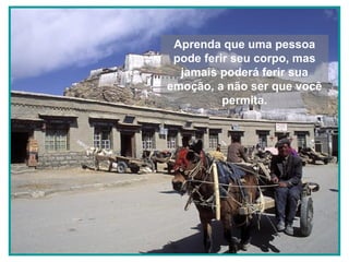 Aprenda que uma pessoa
pode ferir seu corpo, mas
jamais poderá ferir sua
emoção, a não ser que você
permita.

 