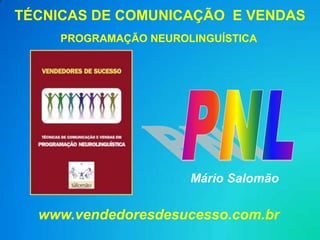 TÉCNICAS DE COMUNICAÇÃO E VENDAS
     PROGRAMAÇÃO NEUROLINGUÍSTICA




                       Mário Salomão

  www.vendedoresdesucesso.com.br
 