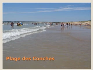Plage des Conches
