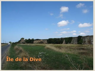 Île de la Dive