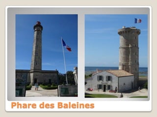 Phare des Baleines