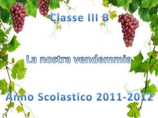 Classe III B La nostra vendemmia Anno Scolastico 2011-2012 