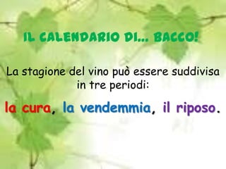 Il calendario di… Bacco!La stagione del vino può essere suddivisa in tre periodi: la cura, la vendemmia, il riposo.