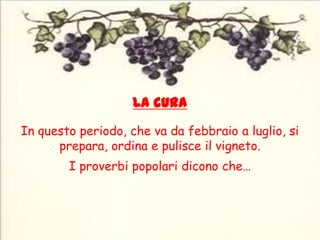 La curaIn questo periodo, che va da febbraio a luglio, si prepara, ordina e pulisce il vigneto.I proverbi popolari dicono che…