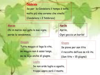 FebbraioSe per  la Candelora il tempo è bello,molto più vino avremo che vinello.(Candelora = 2 febbraio)MarzoChi in marzo non pota la sua vigna,perde la vendemmia.AprileAprile,Ogni goccia un barile!MaggioTutto maggio si lega la vite,se maggio non è assai lungo,se ne lega anche di giugno.GiugnoSe piove per san Vitoil raccolto dell’uva se n’è ito.(San Vito = 15 giugno)LuglioSe non arde luglio e agosto,troppo aspro sarà il mosto.