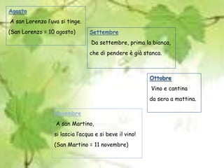 Agosto A san Lorenzo l’uva si tinge.(San Lorenzo = 10 agosto)Settembre Da settembre, prima la bianca,che di pendere è già stanca.Ottobre Vino e cantinada sera a mattina.Novembre A san Martino,si lascia l’acqua e si beve il vino!(San Martino = 11 novembre)
