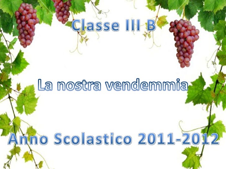 Vendemmia
