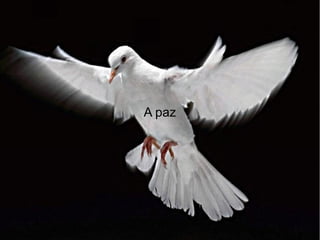 A paz

 