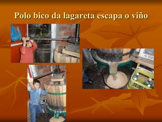 Polo bico da lagareta escapa o viño
 