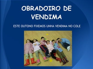 OBRADOIRO DE
      VENDIMA
ESTE OUTONO FIXEMOS UNHA VENDIMA NO COLE
 