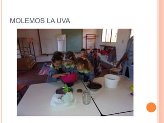 MOLEMOS LA UVA
 