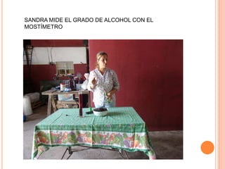 SANDRA MIDE EL GRADO DE ALCOHOL CON EL
MOSTÍMETRO
 