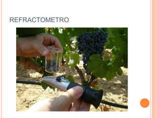 REFRACTOMETRO
 