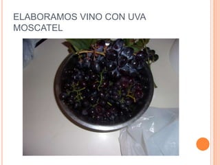 ELABORAMOS VINO CON UVA
MOSCATEL
 