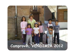 Camprovín, VENDIMIA 2012
 