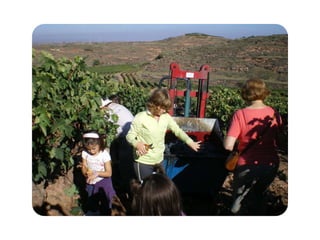 Vendimia 2012 (2)