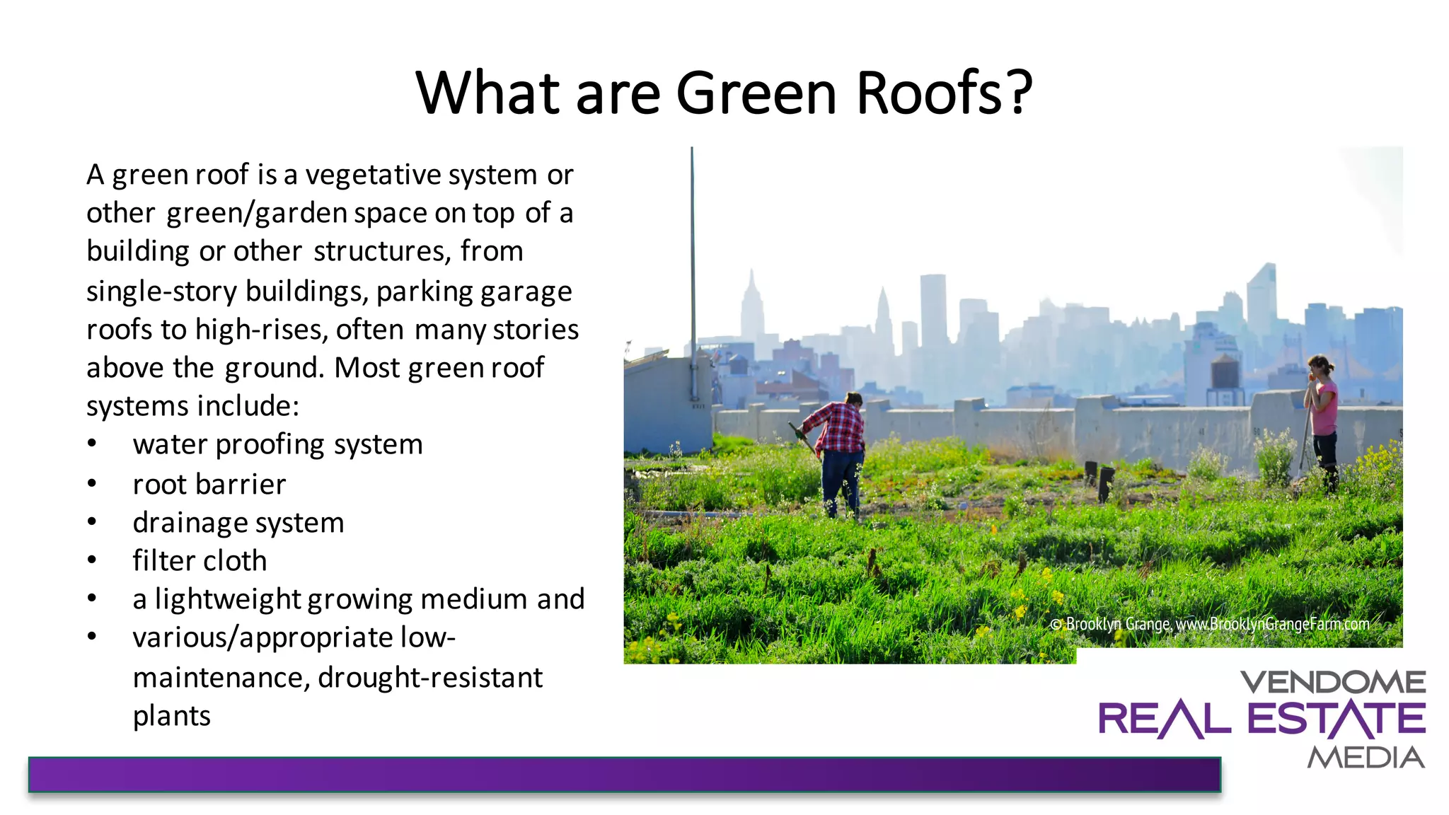 Green Roofs—How to Add This Value-Enhancing Amenity in Multifamily ... - Green Building Materials For Multifamily Housing Costs