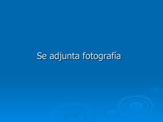 Se adjunta fotograf ía   