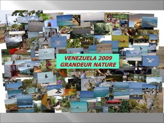 VENEZUELA 2009 GRANDEUR NATURE 