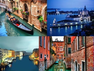 Venecia judith