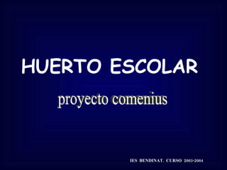 HUERTO ESCOLAR IES  BENDINAT.  CURSO  2003-2004 proyecto comenius 