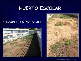 HUERTO ESCOLAR “ PARADES EN CRESTALL” IES  BENDINAT.  CURSO  2003-2004 