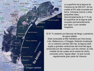 La superficie de la laguna de
                                                         Venecia es de 550 km², de los
                                                         cuales el 8% esta ocupada por
                                                         tierra, (Venecia misma y otras
Puente de la
 Libertad
                                                         pequeñas islas).
                                                         Aproximadamente el 11 % de
                                                         la superficie de la laguna está
                                                         ocupado permanentemente
                                                         por agua, o por canales
                                                         dragados.


                                      El 81 % restante son llanuras de fango y pantanos
                                                        de agua salada.
                                       Está conectada al Mar Adriático por tres bocas:
                                       Lido, Malamocco y Chioggia. Estando localizada
                                cia

                                        en un extremo cerrado del mar, la laguna está
                              ne



                                       sujeta a grandes variaciones del nivel del agua,
                            Ve
                          de




                                      producida por las mareas y por los vientos, la más
                         lf o




                                          notable de las cuales es la marea de otoño,
                       Go




                                          conocida como “aguas altas”, la que inunda
                                              regularmente gran parte de Venecia




               Imagen satelital
 