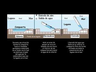 Compuerta
Fondo de la laguna
Durante una situación
normal la compuerta
hueca e inundada
permanece sumergida
en el fondo con lo cual
no obstruye el paso
del agua por la
embocadura que une
la laguna con el mar
Ante un aviso de
peligro se inicia el
bombeo de aire hacia
el interior de las
compuertas para sacar
el agua de su interior
Liberada del agua que
había en su interior la
compuerta flota de forma
inclinada cerrando la
comunicación de la
laguna con el mar
Mar
Laguna
Nivel
Nivel
Nivel
 