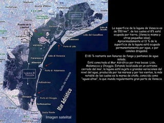 GolfodeVenecia
Imagen satelital
La superficie de la laguna de Venecia es
de 550 km², de los cuales el 8% está
ocupada por tierra, (Venecia misma y
otras pequeñas islas).
Aproximadamente el 11 % de la
superficie de la laguna está ocupado
permanentemente por agua, o por
canales dragados.
El 81 % restante son llanuras de fango y pantanos de agua
salada.
Está conectada al Mar Adriático por tres bocas: Lido,
Malamocco y Chioggia. Estando localizada en un extremo
cerrado del mar, la laguna está sujeta a grandes variaciones del
nivel del agua, producida por las mareas y por los vientos, la más
notable de las cuales es la marea de otoño, conocida como
“aguas altas”, la que inunda regularmente gran parte de Venecia
Puente de la
Libertad
 