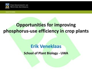 FACULTY OF SCIENCE 
Opportunities for improving 
phosphorus-use efficiency in crop plants 
Erik Veneklaas 
School of Plant Biology - UWA 
 
