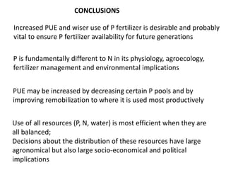 CONCLUSIONS 
Increased PUE and wiser use of P fertilizer is desirable and probably 
vital to ensure P fertilizer availability for future generations 
P is fundamentally different to N in its physiology, agroecology, 
fertilizer management and environmental implications 
PUE may be increased by decreasing certain P pools and by 
improving remobilization to where it is used most productively 
Use of all resources (P, N, water) is most efficient when they are 
all balanced; 
Decisions about the distribution of these resources have large 
agronomical but also large socio-economical and political 
implications 
 