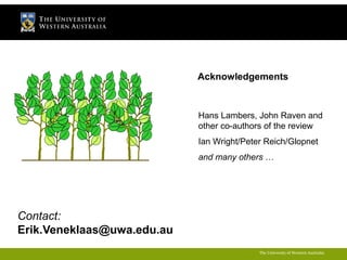 Acknowledgements 
Hans Lambers, John Raven and 
other co-authors of the review 
Ian Wright/Peter Reich/Glopnet 
and many others … 
The University of Western Australia 
Contact: 
Erik.Veneklaas@uwa.edu.au 
 