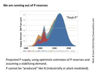 Mohr & Evans (2013) http://www.philica.com 
We are running out of P reserves 
“Peak P” 
1900 2000 2100 2200 
Supply, Demand (Mt P per year) 
Projected P supply, using optimistic estimates of P reserves and 
assuming a stabilizing demand. 
P cannot be “produced” like N (industrially or plant-mediated). 
 