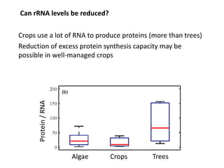 Opportunities for improving phosphorus-use efficiency in crop plants