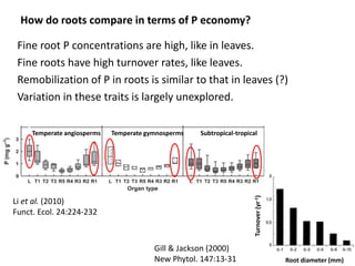 Opportunities for improving phosphorus-use efficiency in crop plants