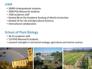 Opportunities for improving phosphorus-use efficiency in crop plants