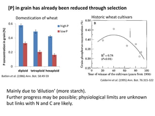 Opportunities for improving phosphorus-use efficiency in crop plants