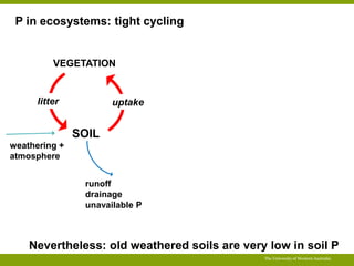 Opportunities for improving phosphorus-use efficiency in crop plants