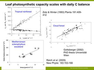 Opportunities for improving phosphorus-use efficiency in crop plants