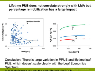 Opportunities for improving phosphorus-use efficiency in crop plants