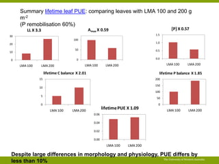 Opportunities for improving phosphorus-use efficiency in crop plants