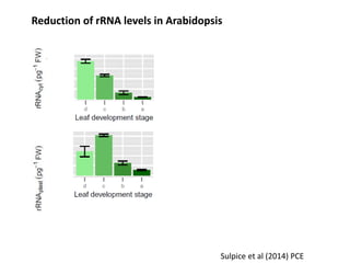 Opportunities for improving phosphorus-use efficiency in crop plants