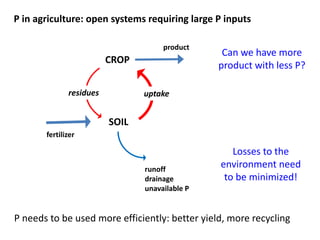 Opportunities for improving phosphorus-use efficiency in crop plants