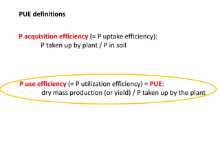 Opportunities for improving phosphorus-use efficiency in crop plants