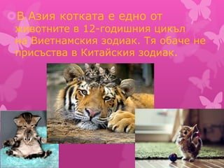 В Азия котката е едно от
животните в 12-годишния цикъл
на Виетнамския зодиак. Тя обаче не
присъства в Китайския зодиак.
 