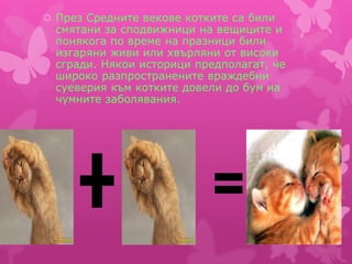  През Средните векове котките са били
смятани за сподвижници на вещиците и
понякога по време на празници били
изгаряни живи или хвърляни от високи
сгради. Някои историци предполагат, че
широко разпространените враждебни
суеверия към котките довели до бум на
чумните заболявания.
 