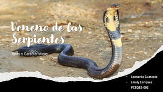 Veneno de las
Serpientes
Tipos y Características
• Leonardo Cuascota
• Emely Enríquez
PCEQB3-002
 