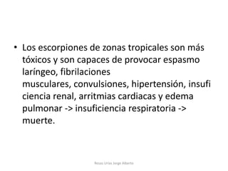 • Los escorpiones de zonas tropicales son más
  tóxicos y son capaces de provocar espasmo
  laríngeo, fibrilaciones
  musculares, convulsiones, hipertensión, insufi
  ciencia renal, arritmias cardiacas y edema
  pulmonar -> insuficiencia respiratoria ->
  muerte.



                   Rosas Urías Jorge Alberto
 